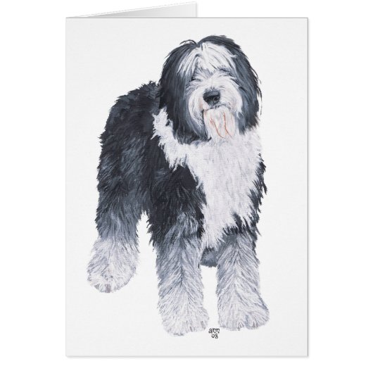Old English Sheepdog Cards (Front)