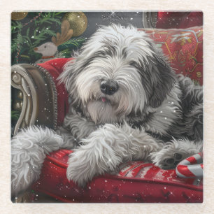 Old English Sheepdog Christmas Festive Glass Coaster