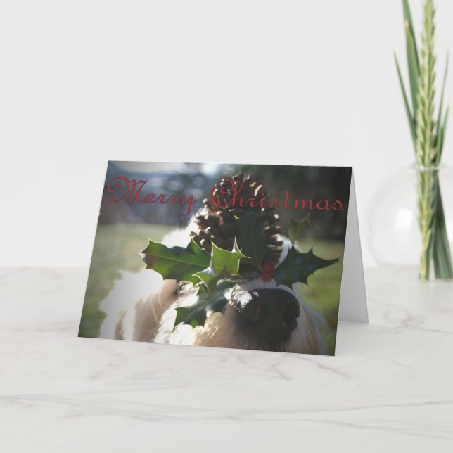 Old English Sheepdog Christmas Holiday Card (Front)