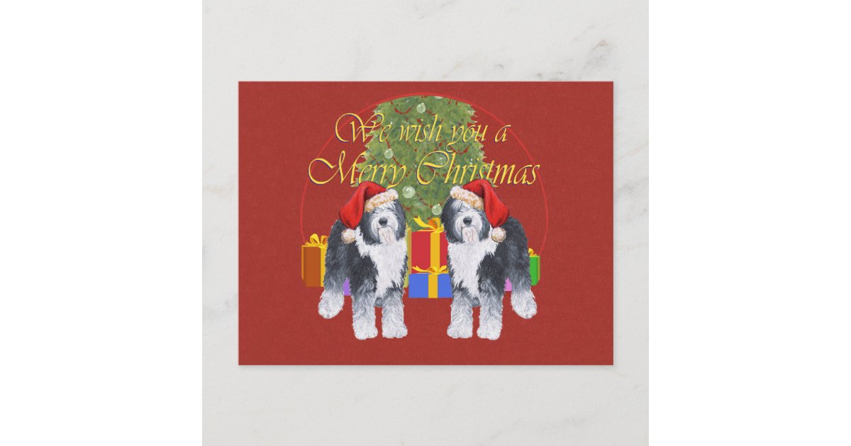 Old English Sheepdog Christmas Holiday Postcard Zazzle