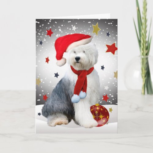 Old English Sheepdog Christmas Stars Holiday Card