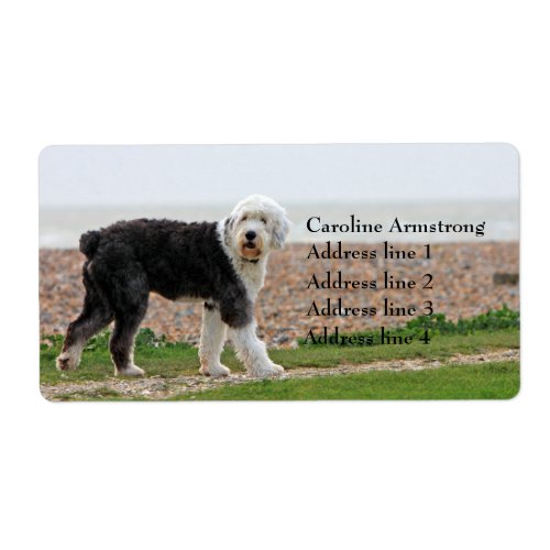 Old English Sheepdog dog custom address labels