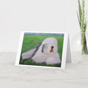 Old English Sheepdog Greeting Card By Sharon Numme