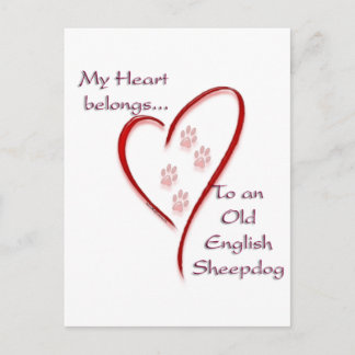 Old English Sheepdog Heart Belongs Postcard