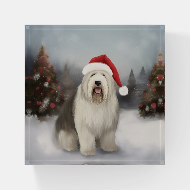 Old English Sheepdog in Snow Christmas Paperweight (Front)