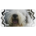 Old English Sheepdog License Plate