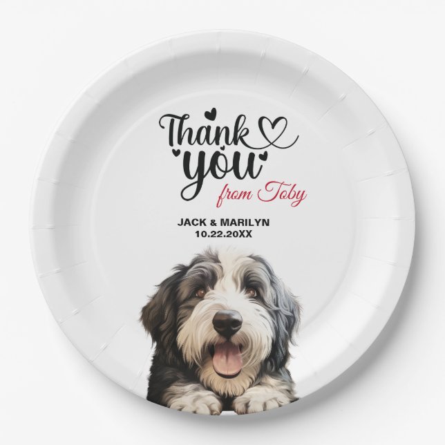 Old English Sheepdog Paper Plates (Front)