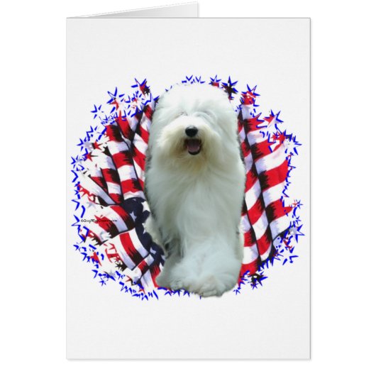Old English Sheepdog Patriot (Front)