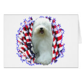 Old English Sheepdog Patriot (Front Horizontal)