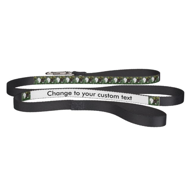 Old English Sheepdog Pet Leash (Full)