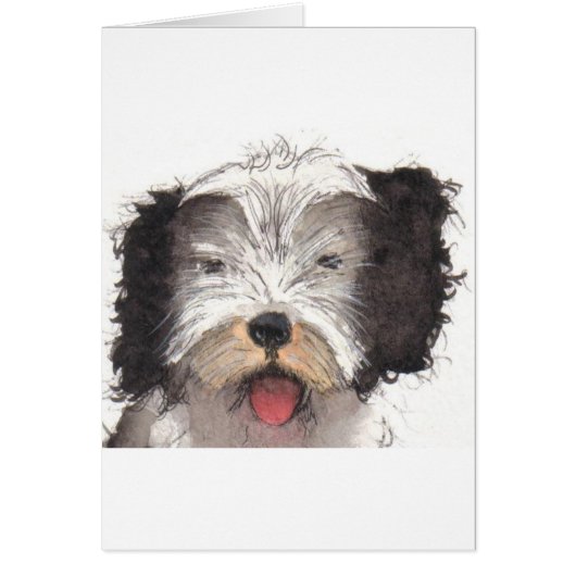 Old English Sheepdog Puppy (Front)