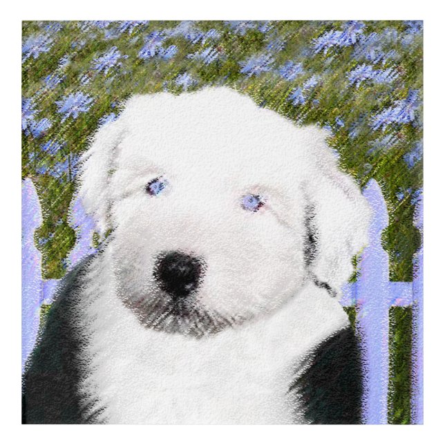 Old English Sheepdog Puppy Painting - Dog Art (Front)
