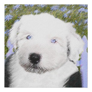 Old English Sheepdog Puppy Painting - Dog Art Faux Canvas Print