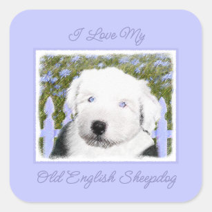 Old English Sheepdog Sticker for Sale by animalartbyjess