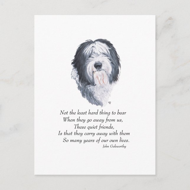 Old English Sheepdog Rainbow Bridge Postcard (Front)