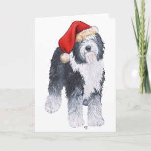 https://rlv.zcache.com/old_english_sheepdog_santa_hat_holiday_card-rdd693e8d8bad4942b928ca8c92ba0659_udffh_307.jpg