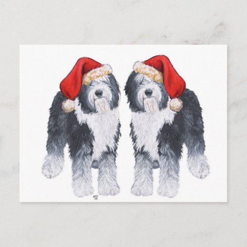 Old English Sheepdog Santa Hat Holiday Postcard