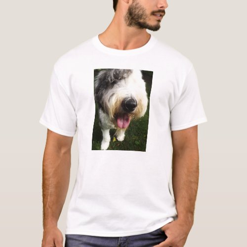 Old English Sheepdog Shirt _ Big Nose