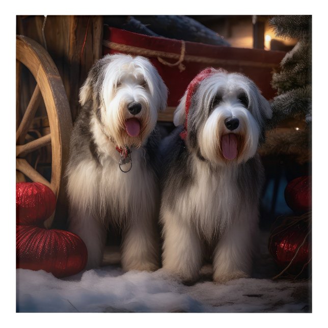 Old English Sheepdog Snowy Sleigh Christmas Decor  (Front)