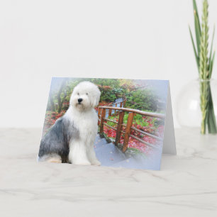 Old English Sheepdog Spring Day Card
