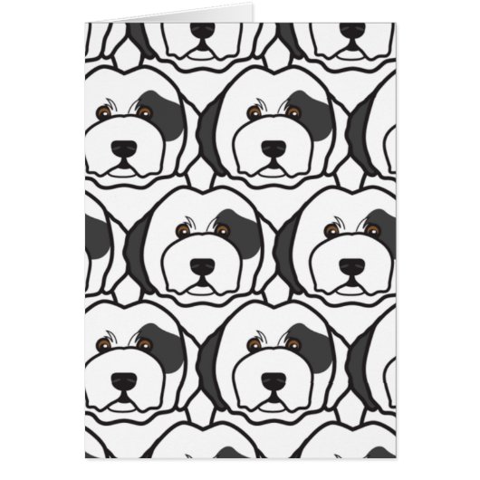 Old English Sheepdogs (Front)