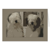 Old English Sheepdogs (Front Horizontal)