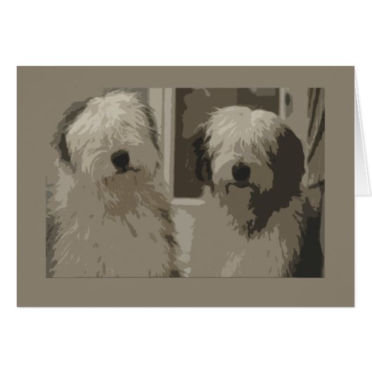 Old English Sheepdogs (Front Horizontal)