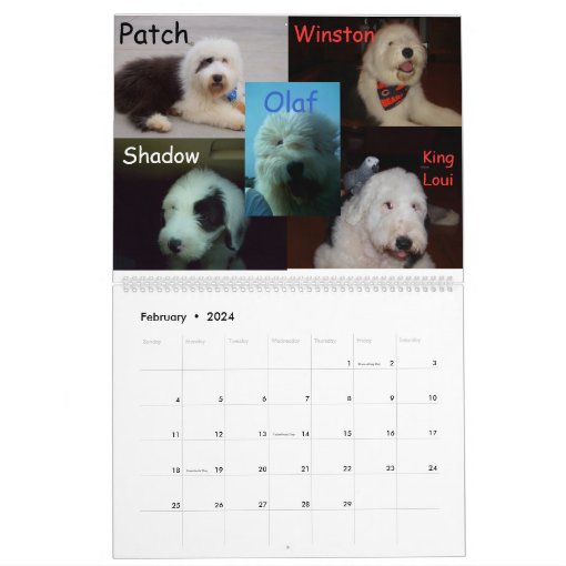 Old English Sheepdogs Calendar Zazzle