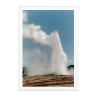 Old Faithful 2009 Acrylic Print