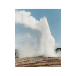 Old Faithful 2009 Metal Print