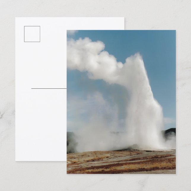 Old Faithful 2009 Postcard (Front/Back)