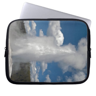 Old Faithful - Electronics Bag