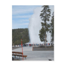 Old Faithful Geyser in Yellowstone Park