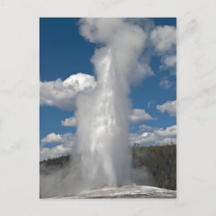 Old Faithful Geyser - Postcard