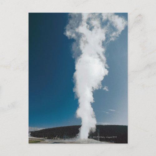 Old Faithful geyser  Yellowstone National Park Postcard