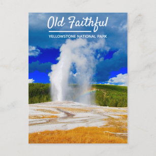 Old Faithful Geyser   Yellowstone National Park Postcard