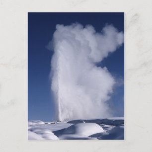 Old Faithful in Winter Postcard