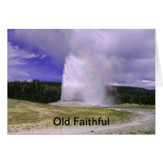 Old Faithful in Yellowstone National Park Cards (Front Horizontal)