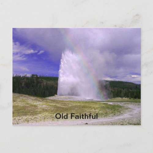 Old Faithful in Yellowstone National Park Postcard