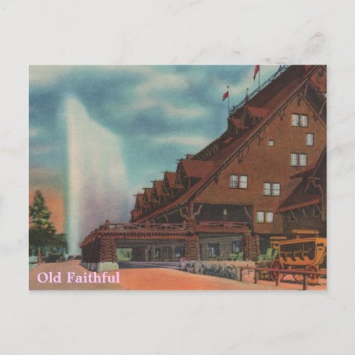 Old Faithful Postcard