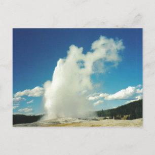 Old Faithful Postcard