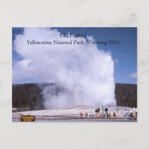 Old Faithful Yellowstone National Park Postcard