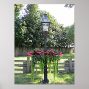 Old Fashion Lamp Post With Hanging Flowers Poster