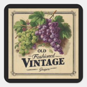 Old Fashion Vintage Grapes, Purple and Black Wine Square Sticker