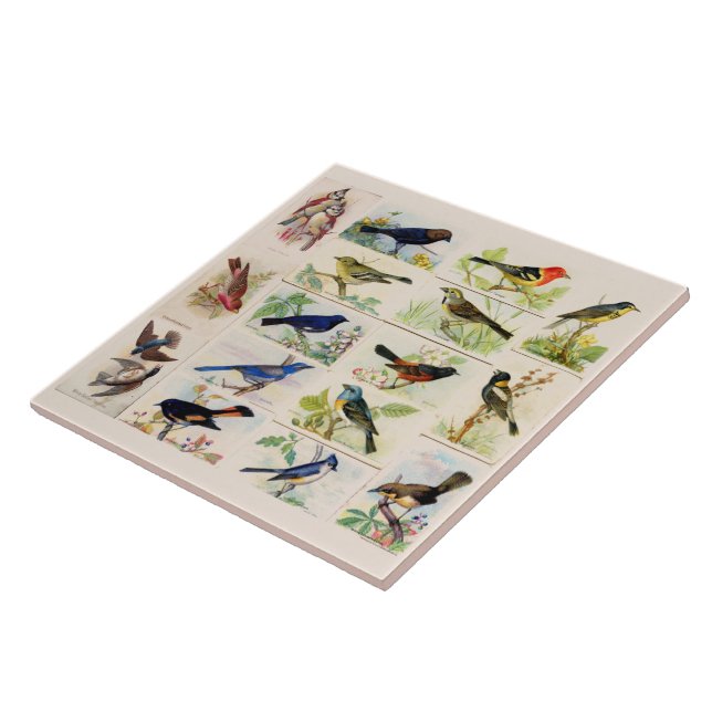 Old Fashioned Birds Ceramic Tile (Side)