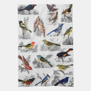 Old Fashioned Birds Kitchen Towel
