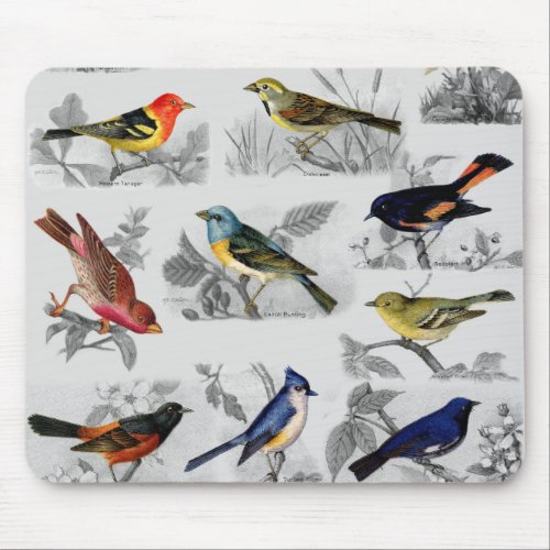Old Fashioned Birds Mouse Pad