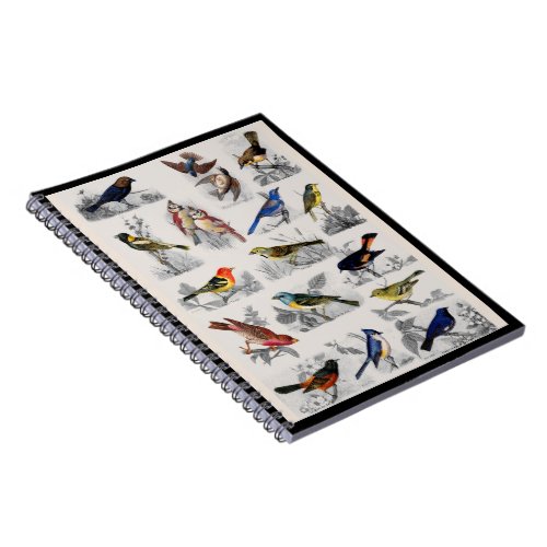 Old Fashioned Birds Notebook