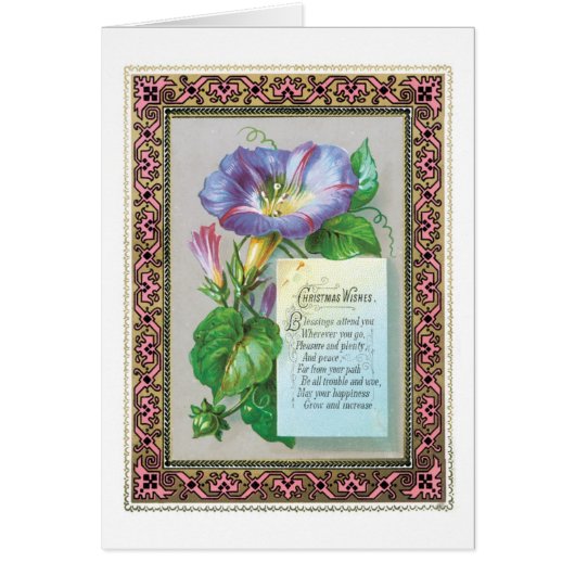 Old-fashioned Christmas, Morning glory Cards (Front)