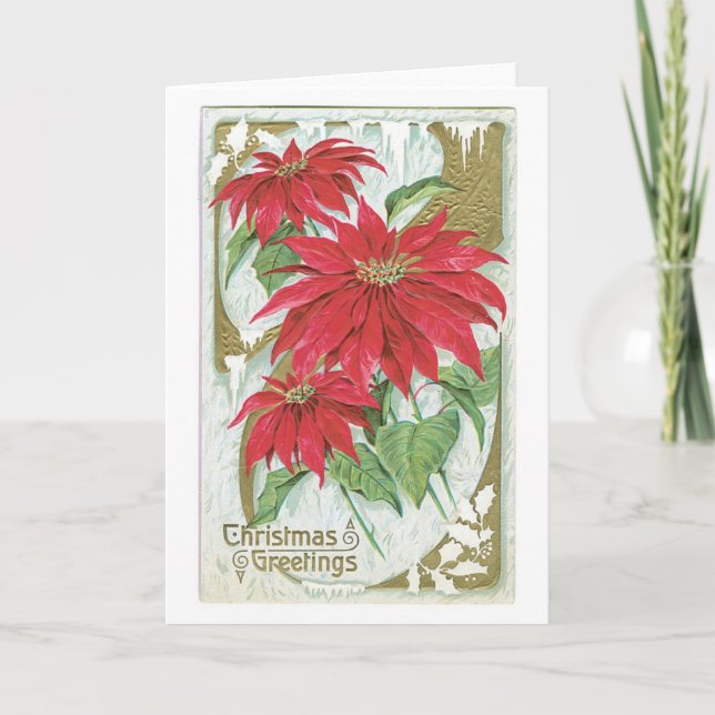 Old Fashioned Christmas Poinsettia Holiday Card (Front)